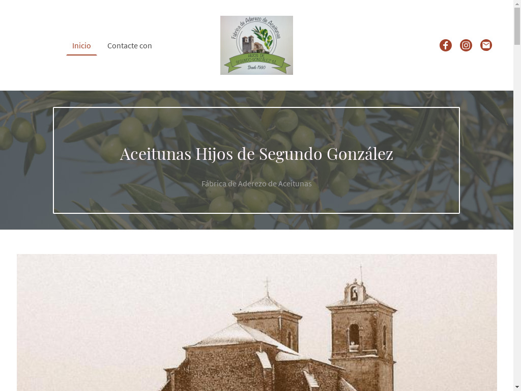 Screenshot of Aceitunashijosdesegundogonzalez.com website