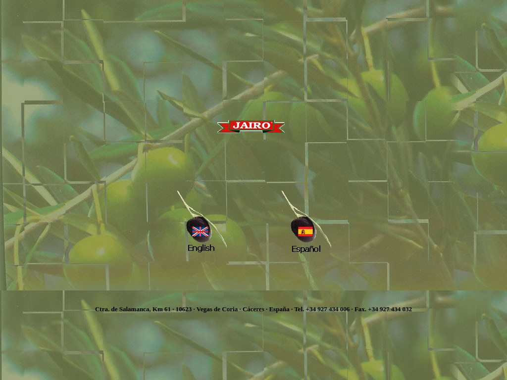 Screenshot of Aceitunasjairo.com website