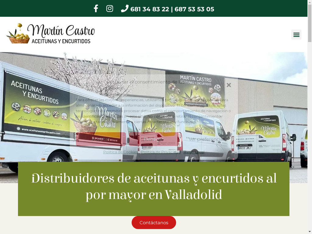 Screenshot of Aceitunasmartincastro.com website