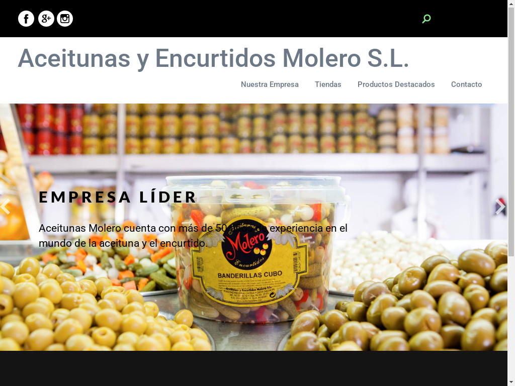 Screenshot of Aceitunasmolero.com website