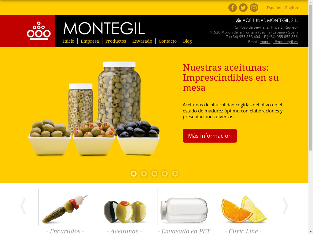 Screenshot of Aceitunasmontegil.com website