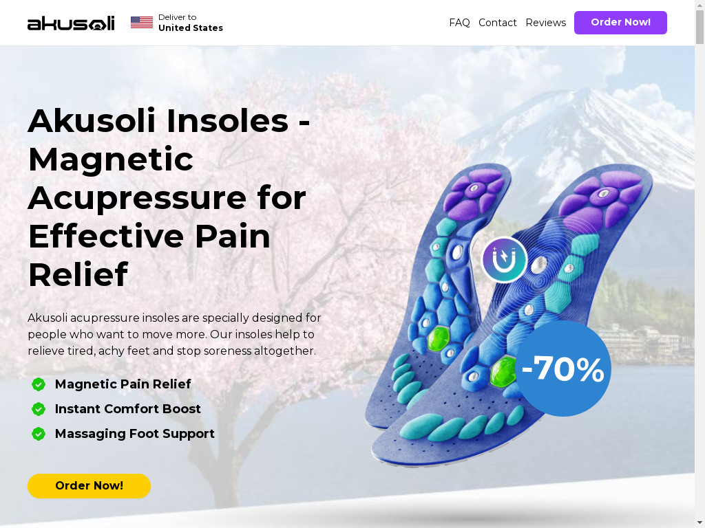 Screenshot of Akusoli.com website