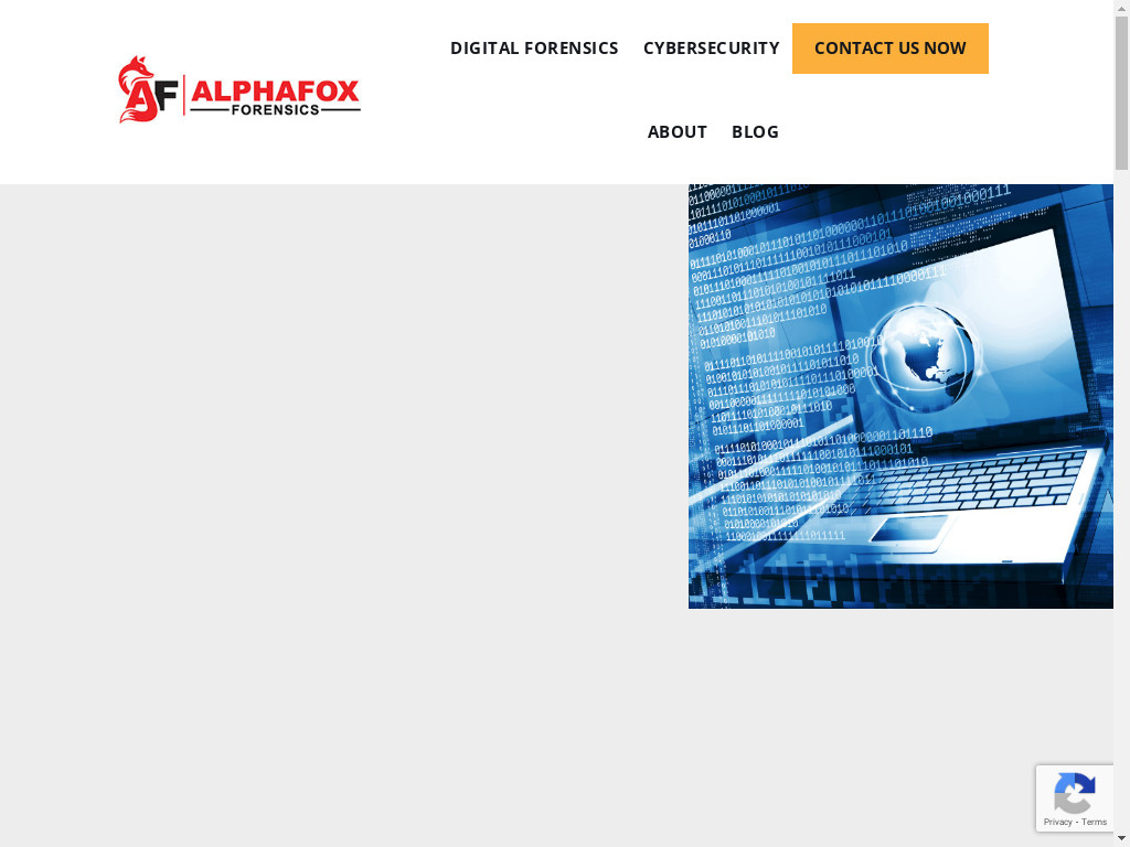 Screenshot of Alphafoxforensics.com website