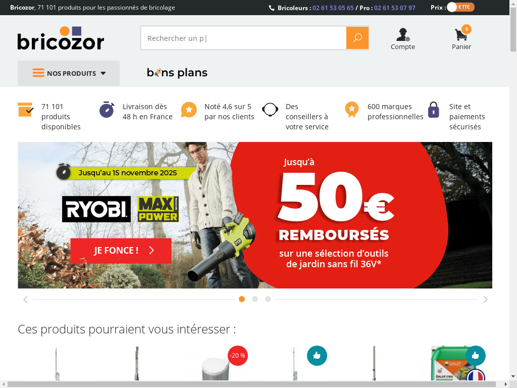 Screenshot of Bricozor.com website
