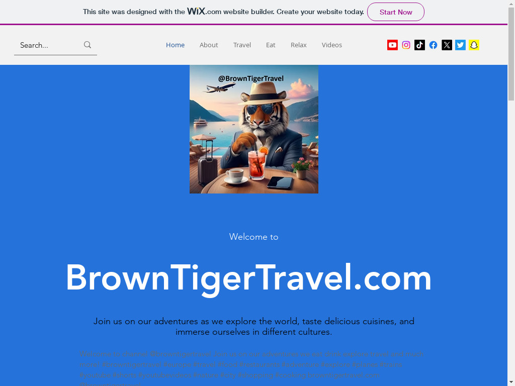 Screenshot of Browntigertravel.com website