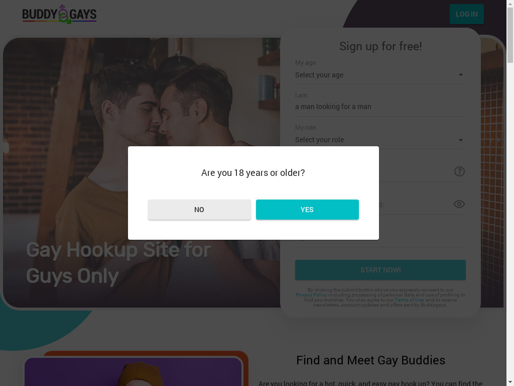 Screenshot of Buddygays.com website