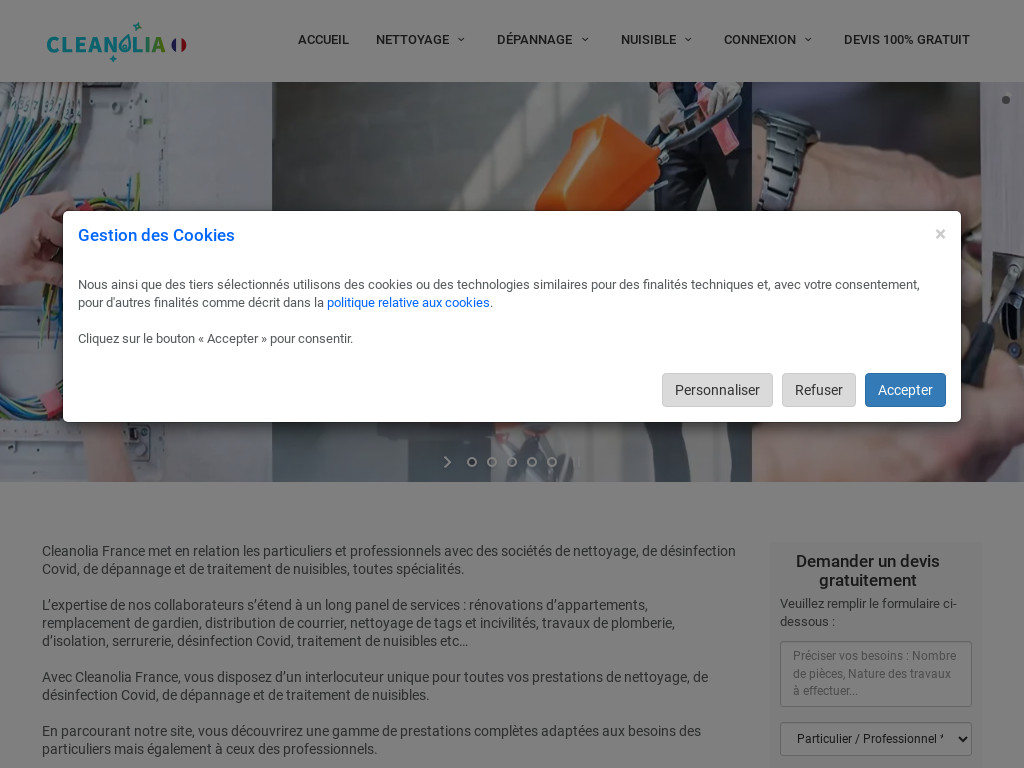 Screenshot of Cleanolia.fr website