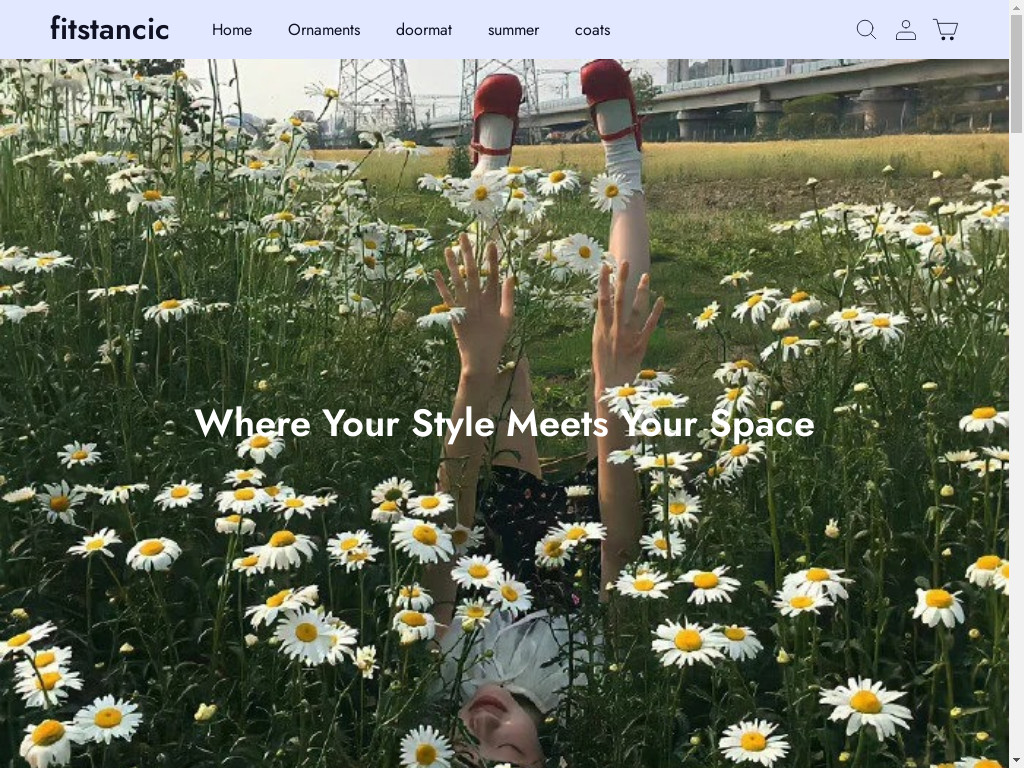 Screenshot of Fitstancic.com website