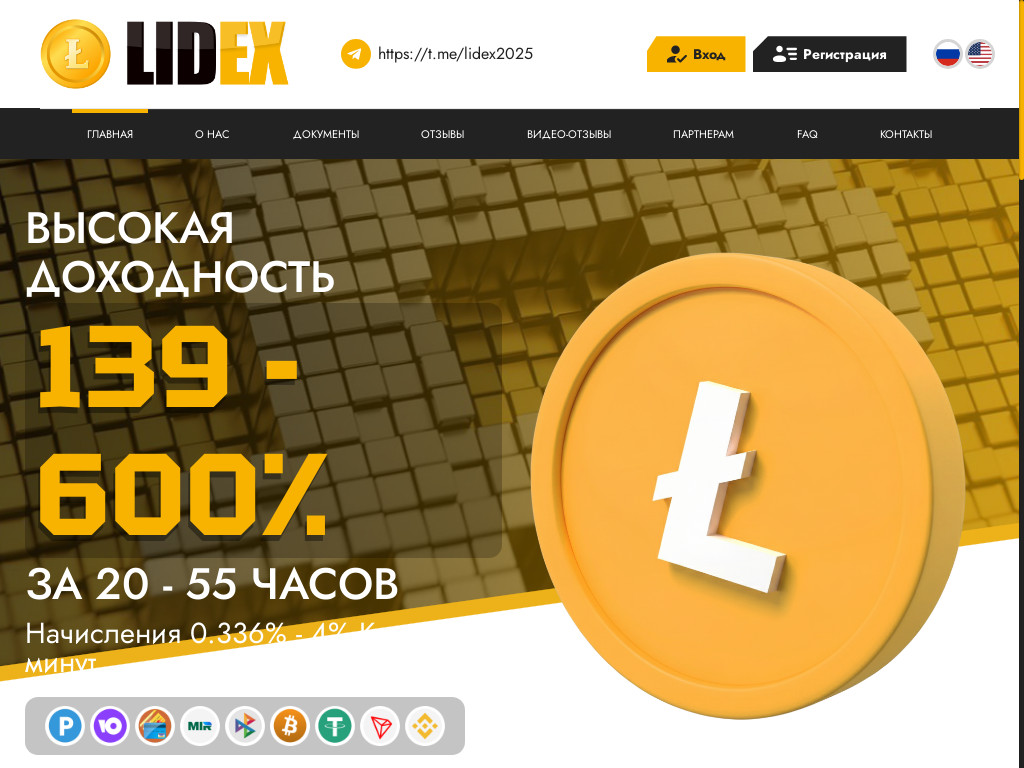 Screenshot of Lidex.cc website