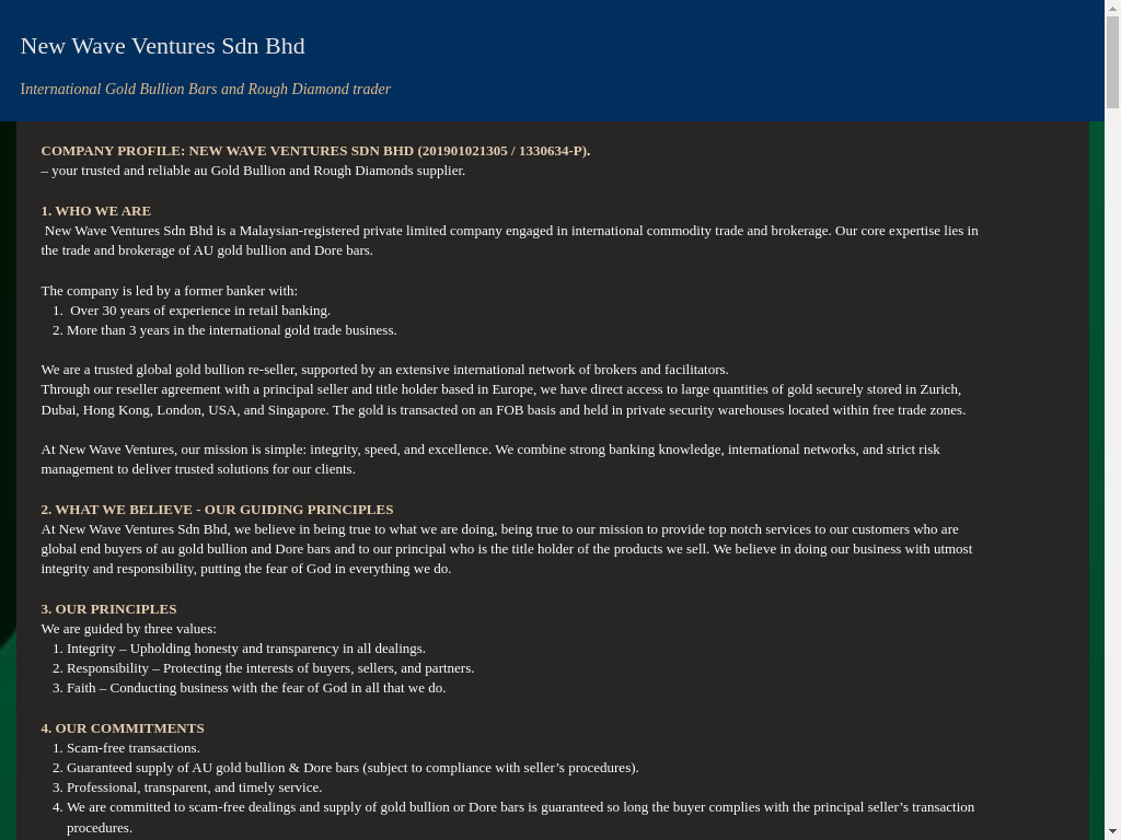 Screenshot of Newwave-ventures.com website