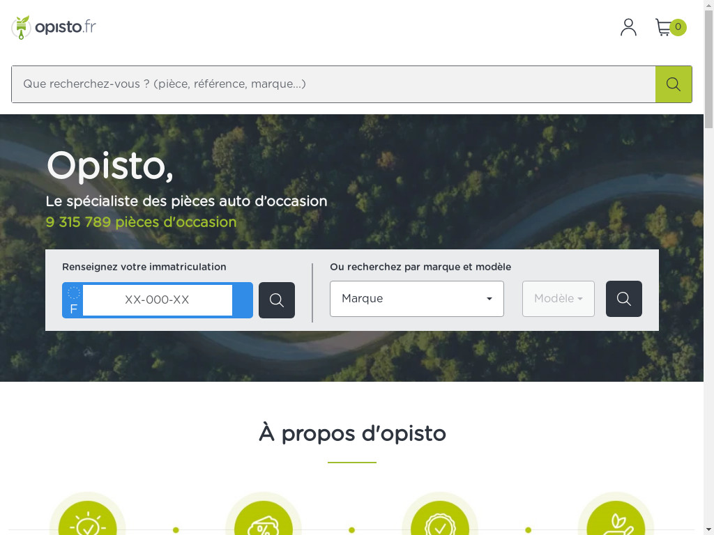 Screenshot of Opisto.fr website