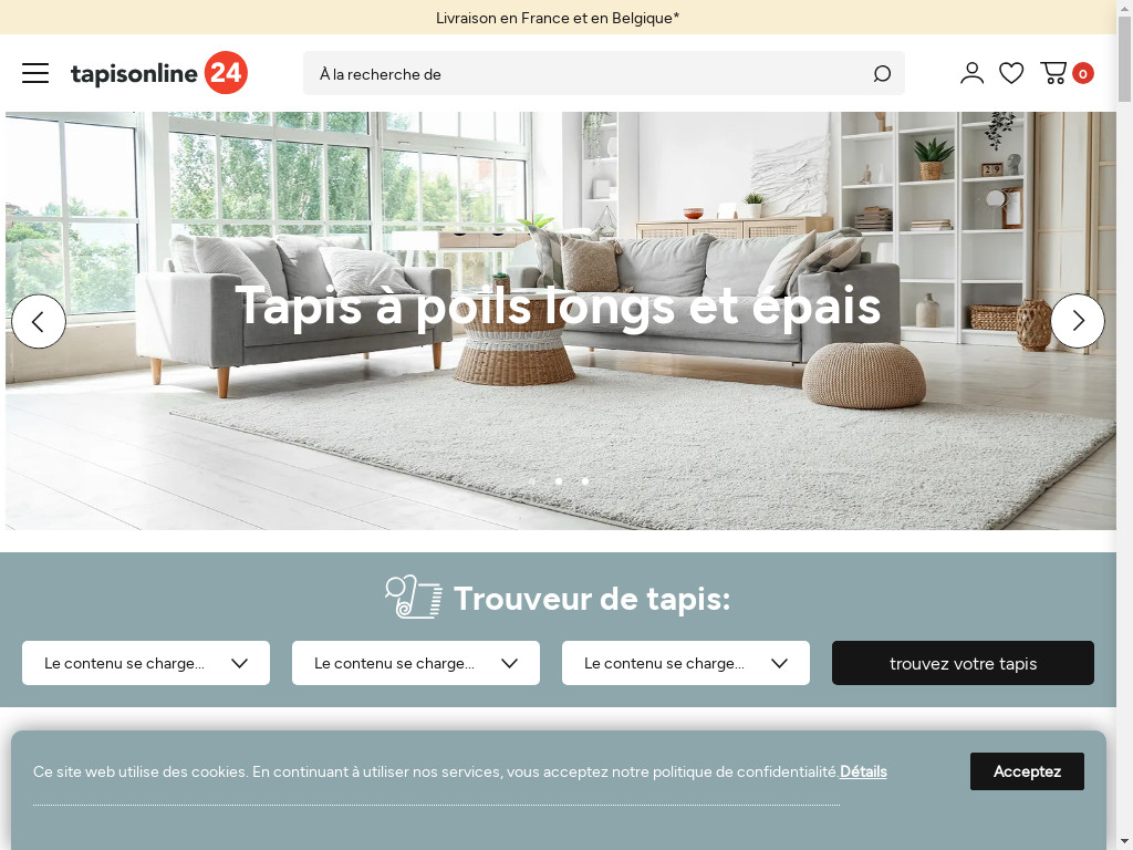Screenshot of Tapisonline24.fr website