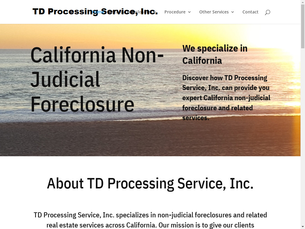 Screenshot of Tdprocessing.com website