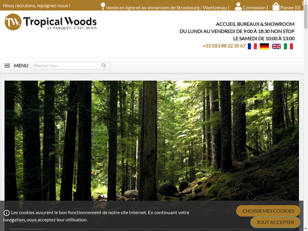 Screenshot of Tropical-woods.fr website
