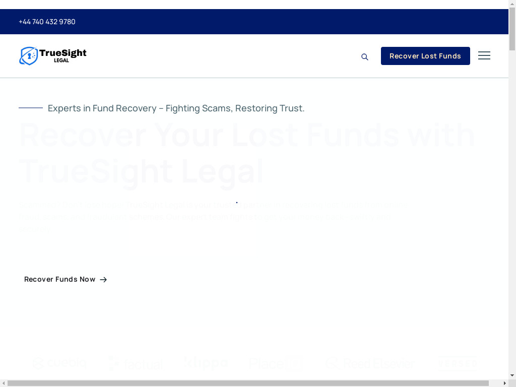 Screenshot of Truesightlegal.co website