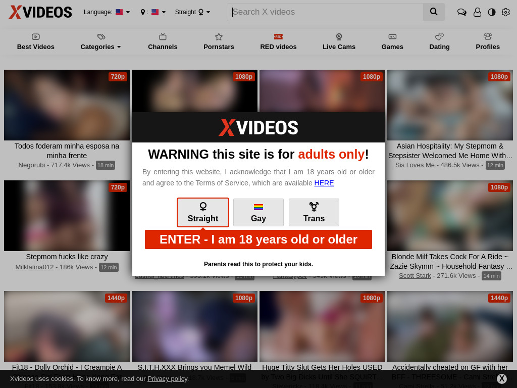 Screenshot of Xvideos.com website